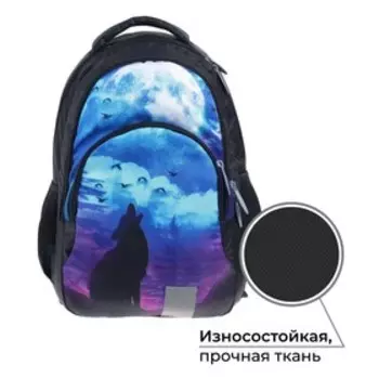 Рюкзак молодёжный Calligrata "Волк", 44 х 30 х 17 см, эргономичная спинка,