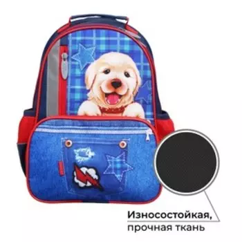 Рюкзак школьный, 37 х 26 х 13 см, эргономичная спинка, Calligrata ОРТ "Щенок на джинсе", синий