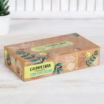 Салфетки бумажные в коробке «Эко», 100 шт, двухслойные