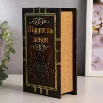 Сейф дерево книга кожа "Мудрость веков" 17х11х5 см