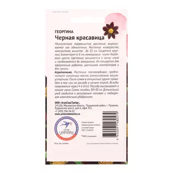 Семена цветов Георгина "Черная красавица", 5 шт
