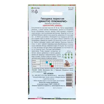 Семена Цветов Гвоздика "Диантус Плюмарис", 0 ,1 г 1029118