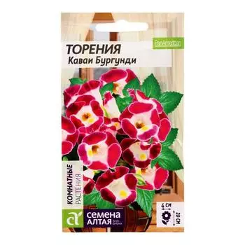 Семена цветов Торения "Каваи Бургунди", ц/п, 5 шт
