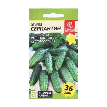 Семена Огурец "Серпантин", Сем. Алт, ц/п, 0,5 г