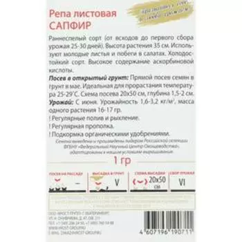 Семена Репа листовая "Сапфир", 1 г