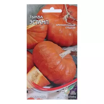 Семена Тыква Эстамп