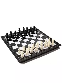 Шахматы магнитные 3131 см, король h=5.8 см, d=2.3 см, доска и фигуры пластик