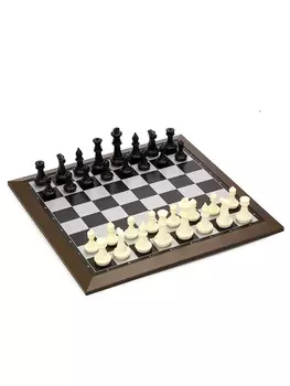 Шахматы магнитные пластиковые, доска с фигурами, 3939 см