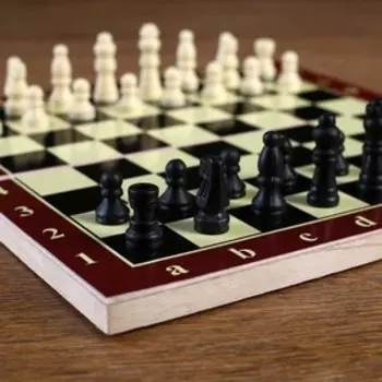 Классические деревянные шахматы «Тонт», 2424 см, доска и фигуры из пластика.