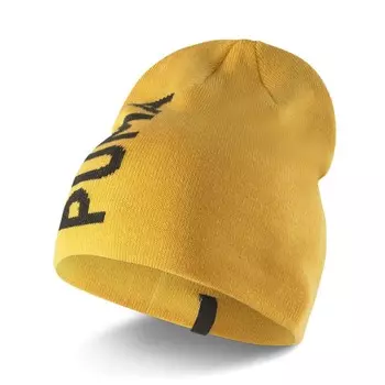 Шапка Puma Essential Classic Cufflessential Beanie (2343306)