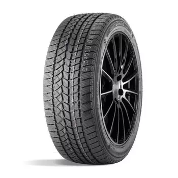 Шина зимняя нешипуемая DOUBLESTAR DW02 215/60 R=16 95S