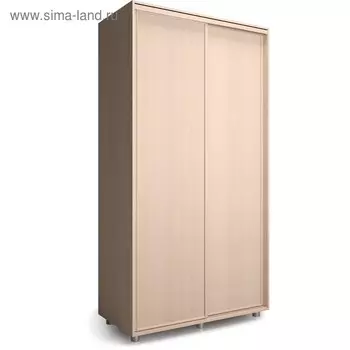 Шкаф-купе Удачный 1200х600х2300 Венге Светлый