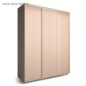 Шкаф-купе Удачный 1770х600х2300 Венге Светлый