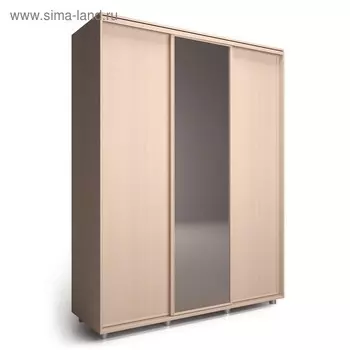 Шкаф-купе Удачный 1 зеркало 2370х600х2300 Венге Светлый