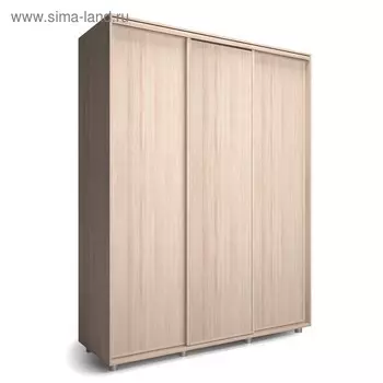 Шкаф-купе Удачный 2370х600х2300 Ясень Шимо Светлый
