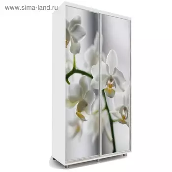 Шкаф-купе Яркий-22 1600х600х2300 Белый/Цветы 1