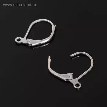 Швензы для сережек с французской застёжкой, 16 мм (набор 5 пар), цвет серебро