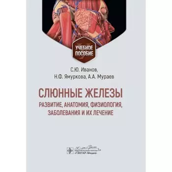 Слюнные железы: развитие, анатомия, физиология, заболевания и их лечение. Учебное пособие. Иванов С.