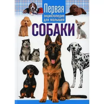 Собаки
