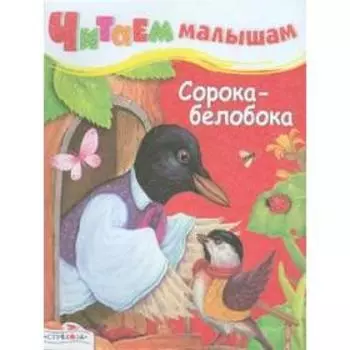 Сорока-белобока