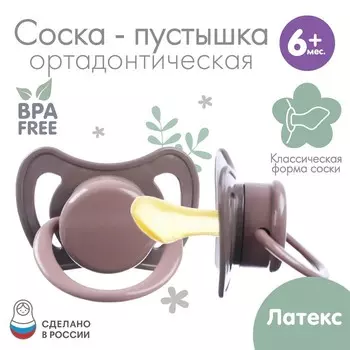 Соска - пустышка латексная ортодонтическая «Лес», от 6 мес., коричневый