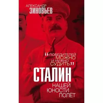 Сталин. Нашей юности полёт. Зиновьев А. А.