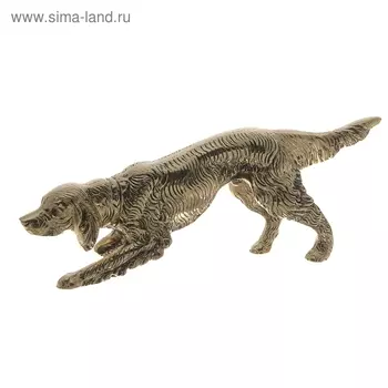 Статуэтка "Сеттер" УЦЕНКА 30 11,5 см