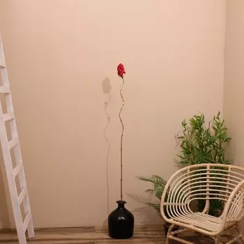 Сухоцвет на бамбуковом стебле, 150 см, красный