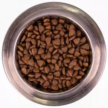 Сухой корм Monge Dog Speciality Line Active корм для активных собак, курица, 12 кг