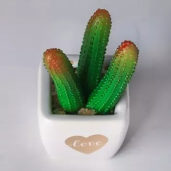 Суккулент в керамическом горшочке Love, 10.5 × 5.5 × 6 см