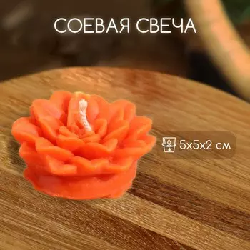 Свеча «Цветок», 552 см, соевый воск, МИКС