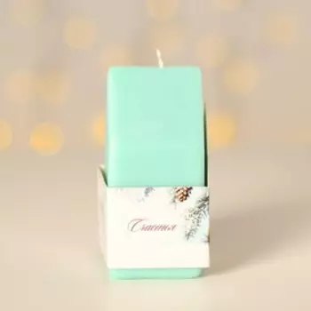 Свеча интерьерная в виде домика "Тигр",8*12 см