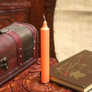 Свеча хозяйственная столбик «Классика», 2217 см, МИКС
