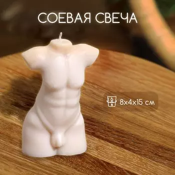 Свеча «Мужской торс», 8415 см, соевый воск, МИКС