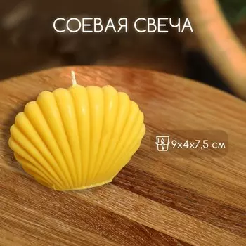 Свеча «Ракушка малая», 947.5 см, соевый воск, МИКС