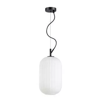 Светильник ROOFI, 1x60Вт E27, цвет чёрный, IP20