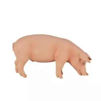 Фигурка Konik «Свинья, самец»