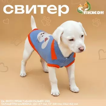 Свитер для животных «Зайка», 2XL (ДС 34, ОШ 34, ОГ 32-51 см)