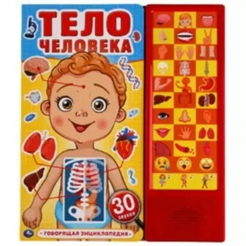 Тело человека (со звуковым модулем, 33 кнопки)