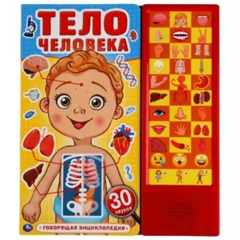 Тело человека (со звуковым модулем, 33 кнопки)