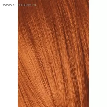 Тонирующий мусс Igora Expert Mousse, тон 8-77, светлый русый медный экстра, 100 мл
