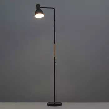 Торшер 19024/1BK E27 40Вт черный 22х22х160 см