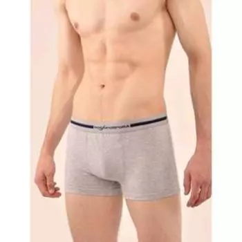 Трусы боксеры мужские, размер 50, цвет grigio