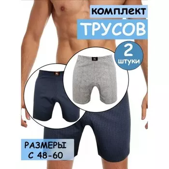 Трусы мужские, размер 54, цвет белый, синий, 2 шт