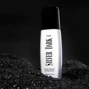 Туалетная вода мужская Dark Silver, 100 мл