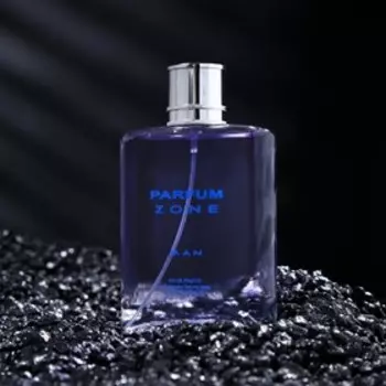 Туалетная вода мужская PARFUM ZONE, 100 мл