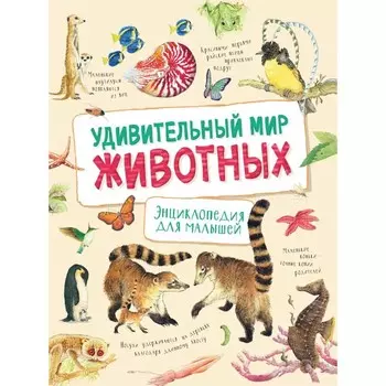 Удивительный мир животных. Энциклопедия для малышей. Ренне