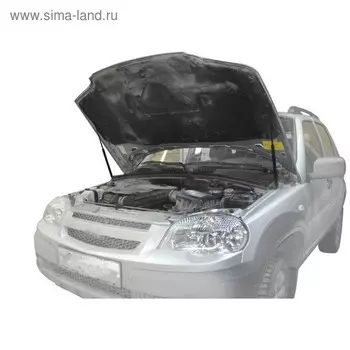 Упоры капота АвтоУПОР для Chevrolet Niva 2002-2009 2009-н.в., 2 шт., UCHNIV011