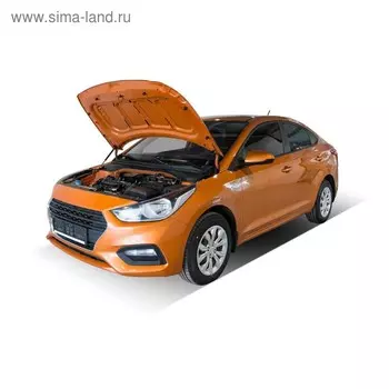 Упоры капота АвтоУПОР для Hyundai Solaris II 2017-н.в., 2 шт., UHYSOL021
