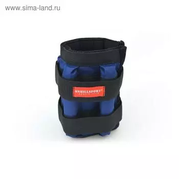 Утяжелители 2 × 4 кг (грузы съёмные 500 г, 16 шт.), цвет синий